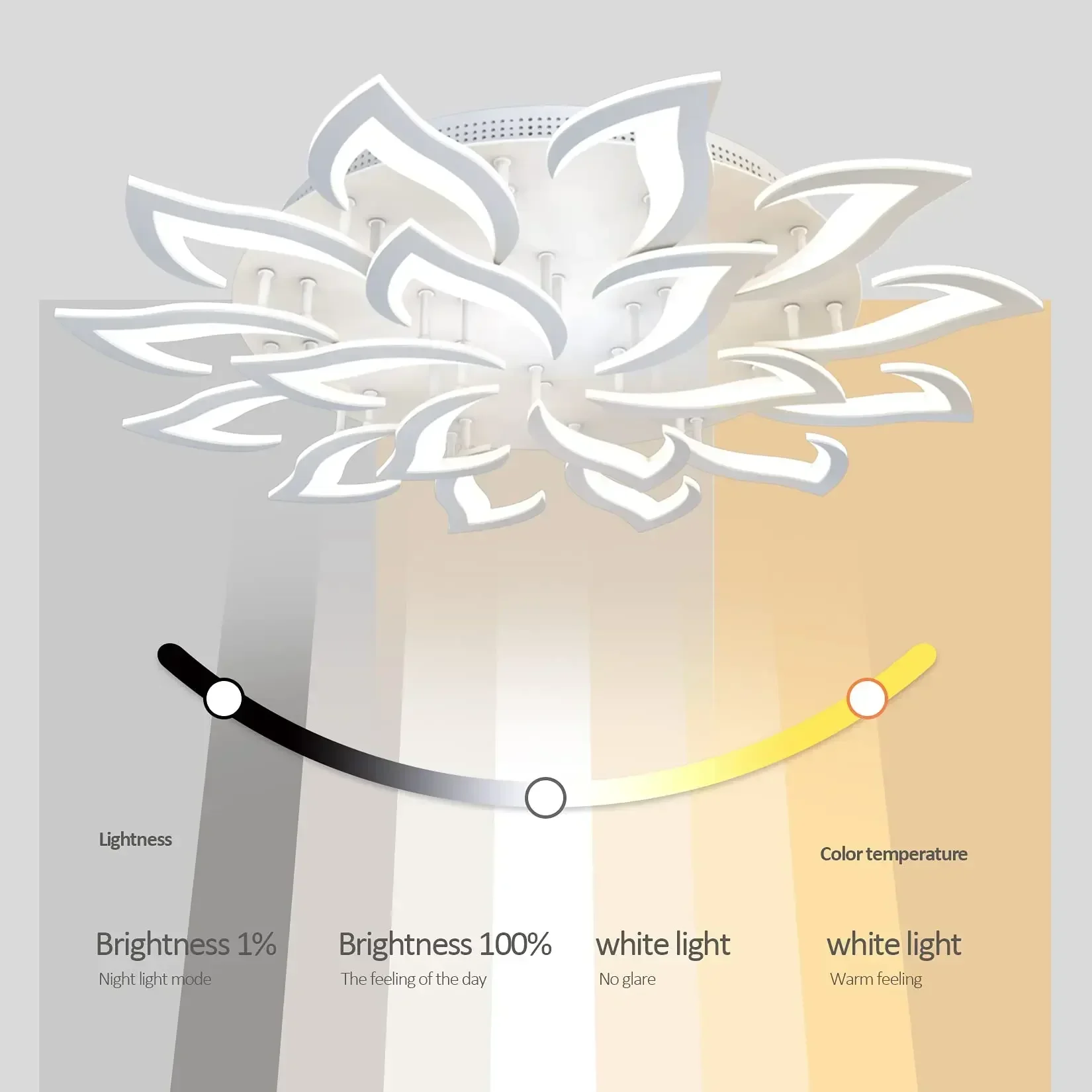 โคมระย้ากลีบดอก LED ของนักออกแ - Interior Design Living Room And Kitchen บทวิจารณ์และราคา
